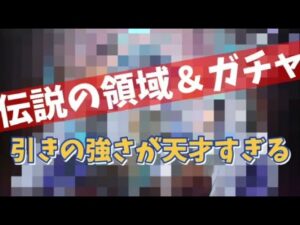 【アカクロ】引きは天才のソレ【アカシッククロニクル】