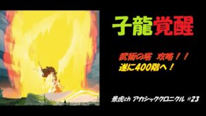 【アカシッククロニクル】武術の塔、遂に400階！
