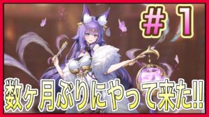 【アカクロ】数か月ぶりにこの世界に帰ってきてみたらスキンが増えてて楽しかったｗｗ【アカシッククロニクル】＃１